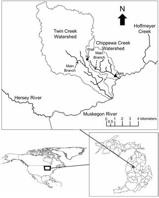 The Metacoupling Framework Informs Stream Salmonid Management and Governance